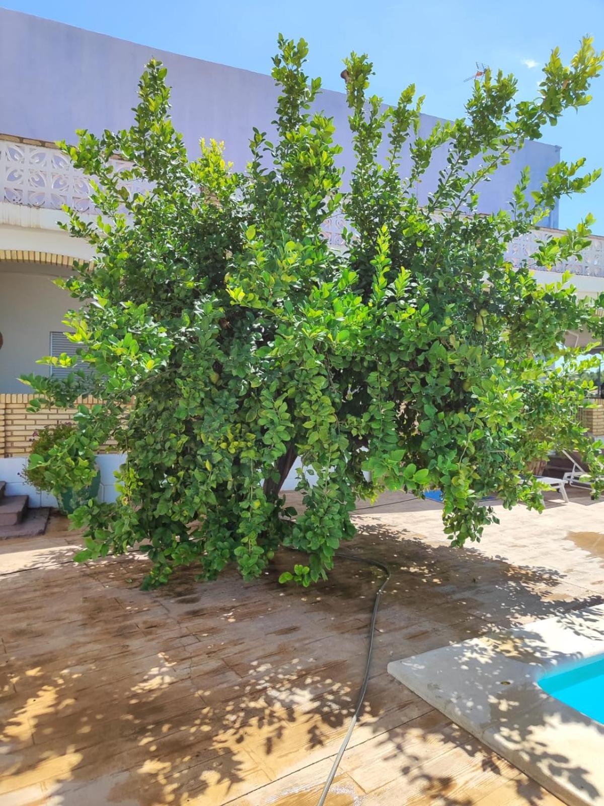 El Recreo, Private Pool & Bbq Villa Godelleta Exterior photo